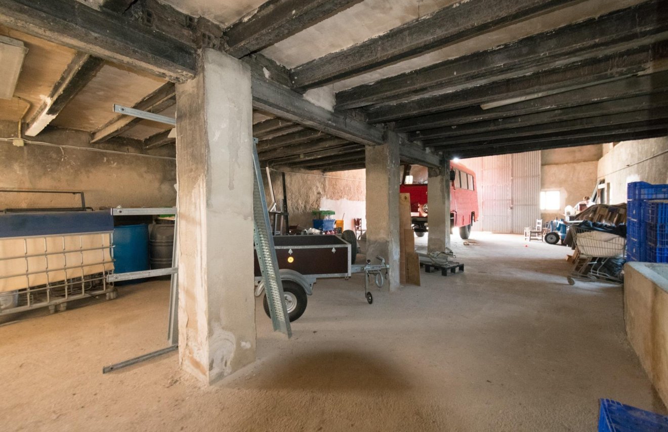 Reventa - Nave industrial - Benejúzar - Comunidad valenciana