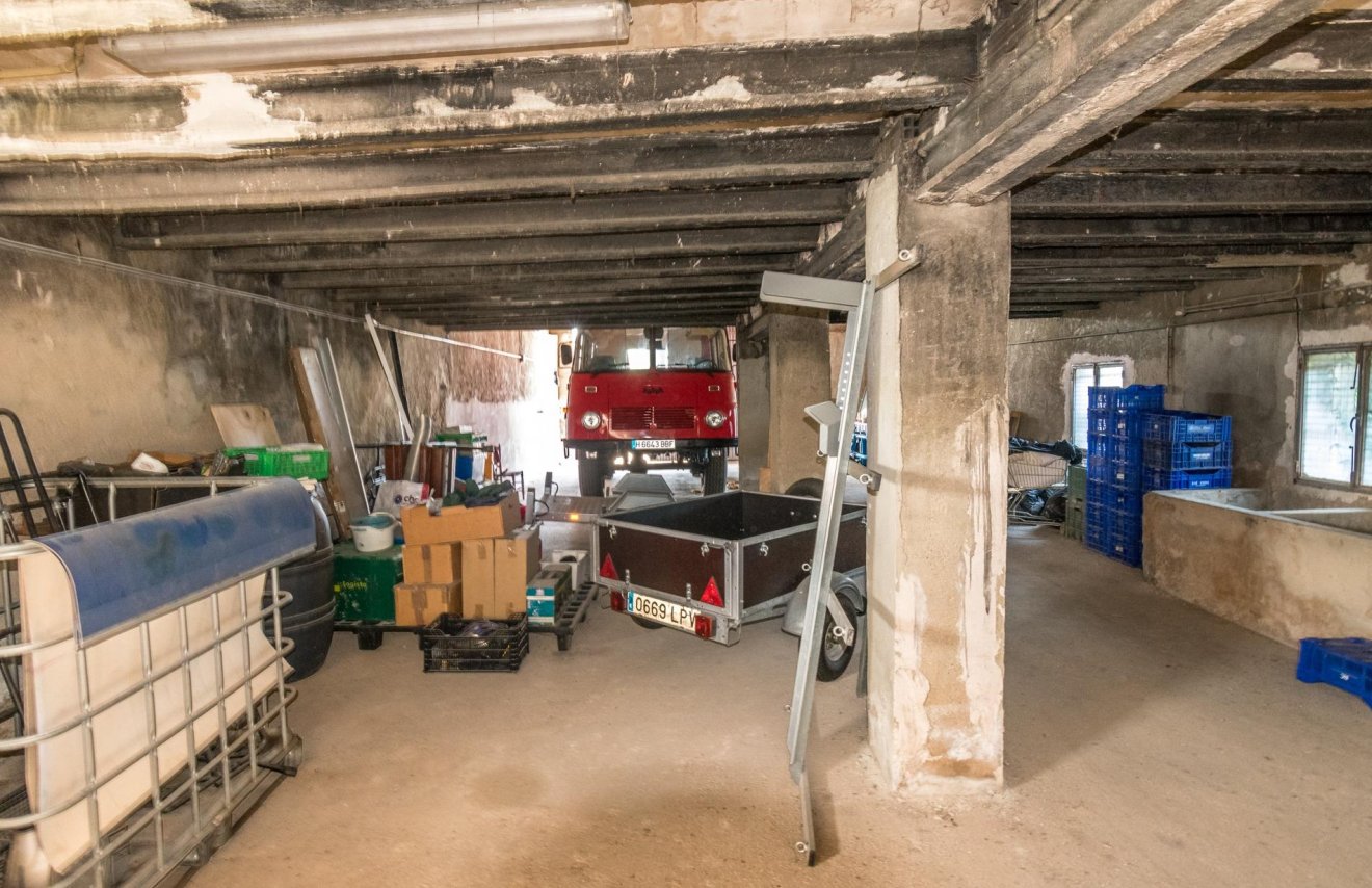 Reventa - Nave industrial - Benejúzar - Comunidad valenciana