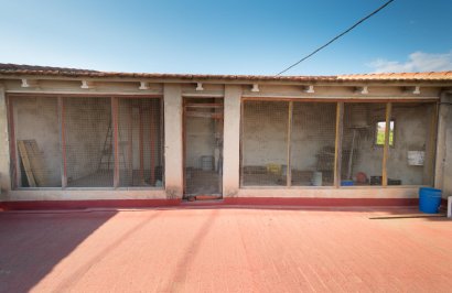 Reventa - Nave industrial - Benejúzar - Comunidad valenciana