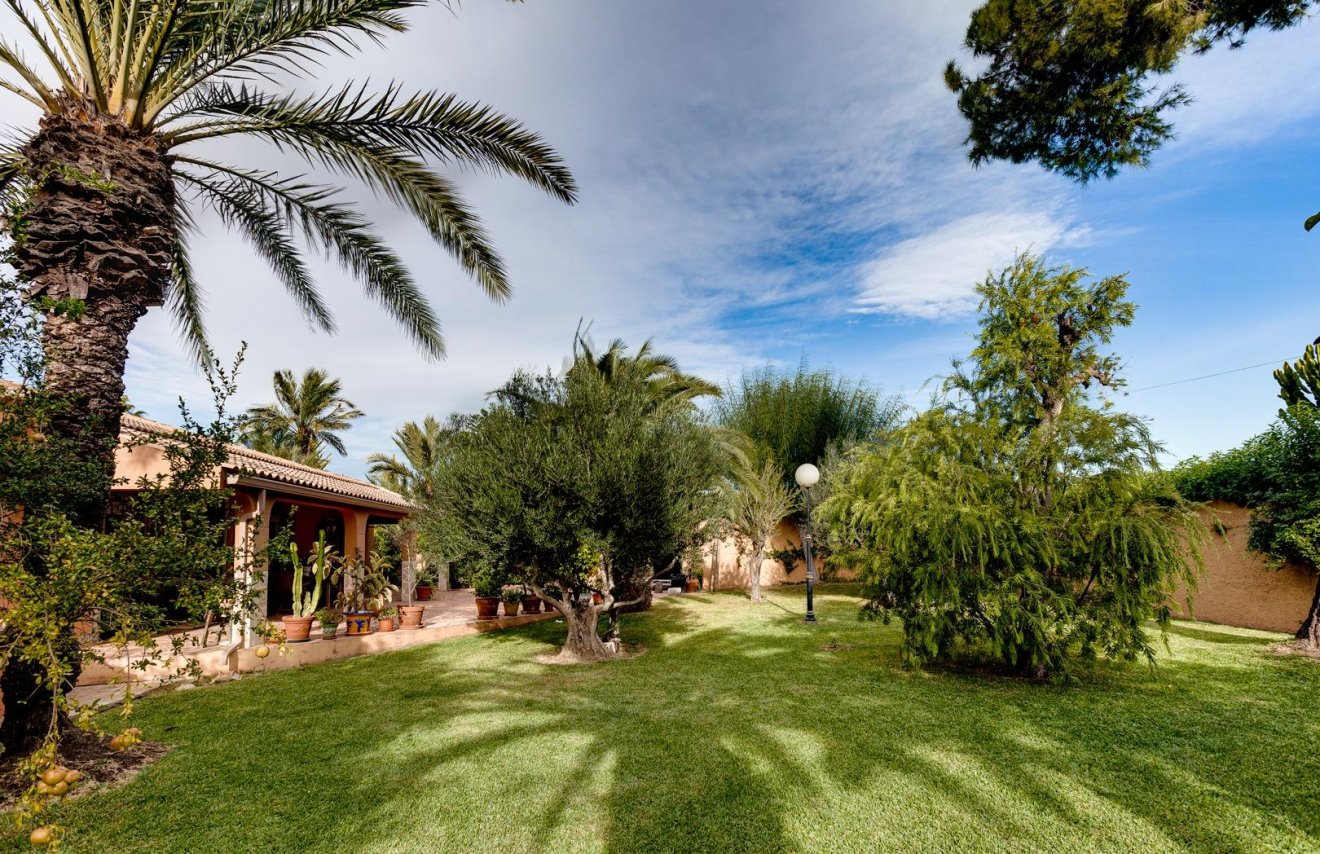 Reventa - Villa de Lujo - Torrevieja - San luis