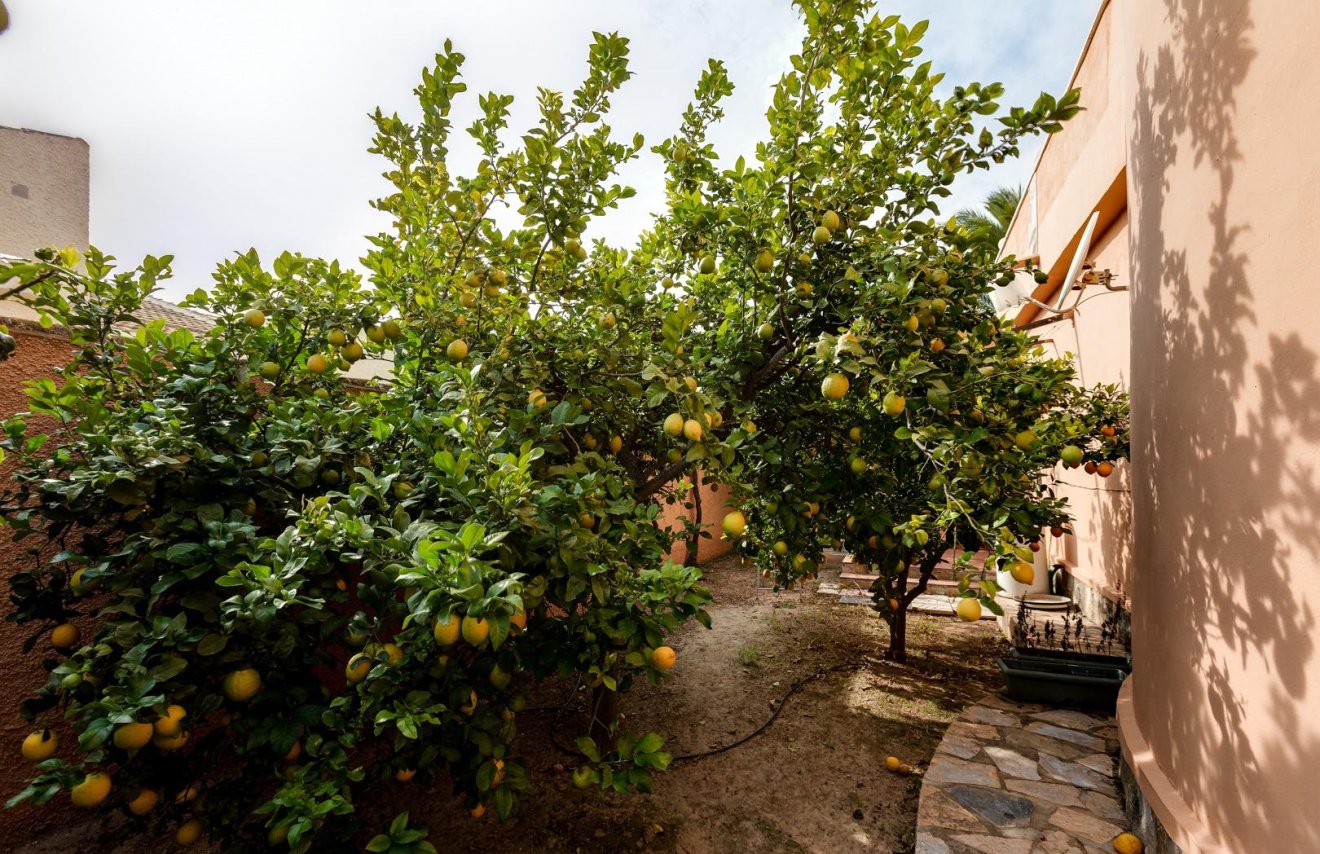 Reventa - Villa de Lujo - Torrevieja - San luis