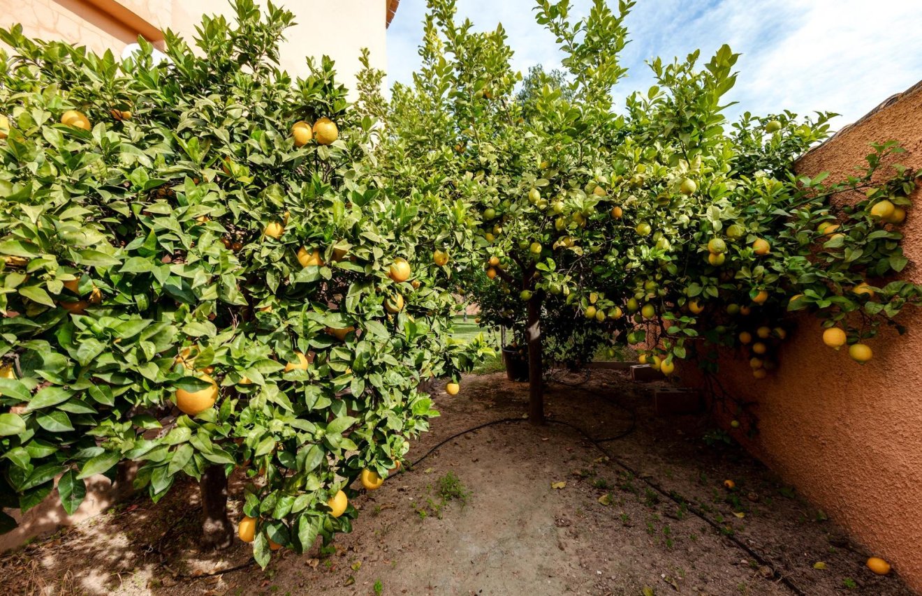 Reventa - Villa de Lujo - Torrevieja - San luis