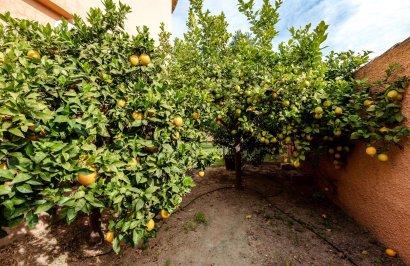 Reventa - Villa de Lujo - Torrevieja - San luis