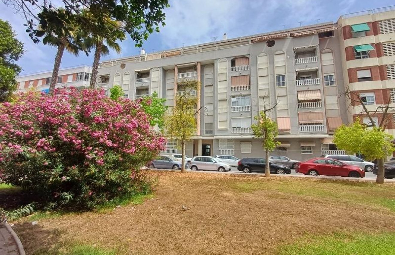 Reventa - Apartamento - Torrevieja - Acequion