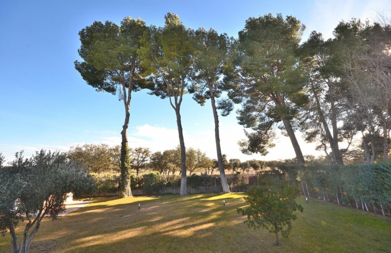 Reventa - Chalet - Albacete - Agua sol