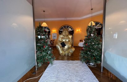 Reventa - Negocio - Ciudad quesada - Lo pepin