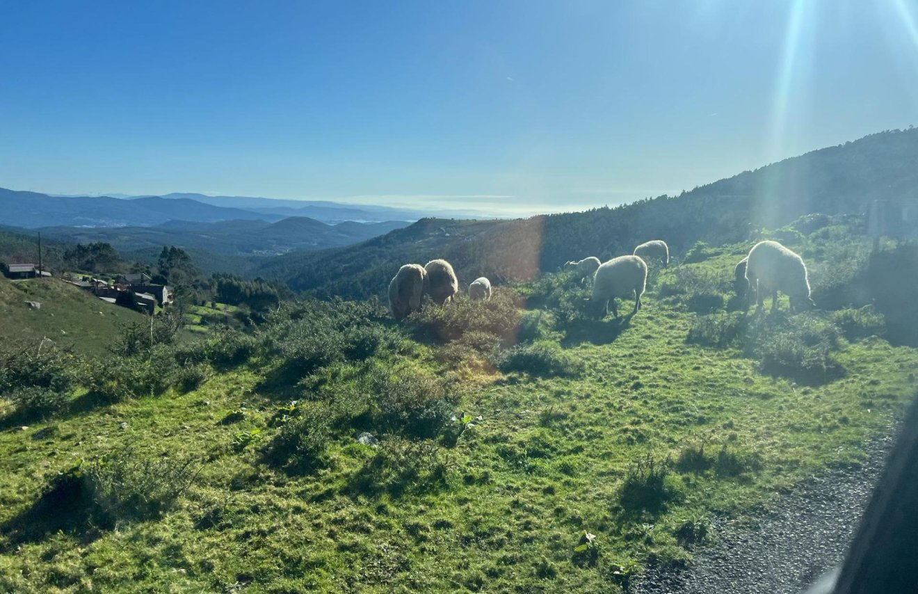 Reventa - Casa de campo - Rianxo - O arano