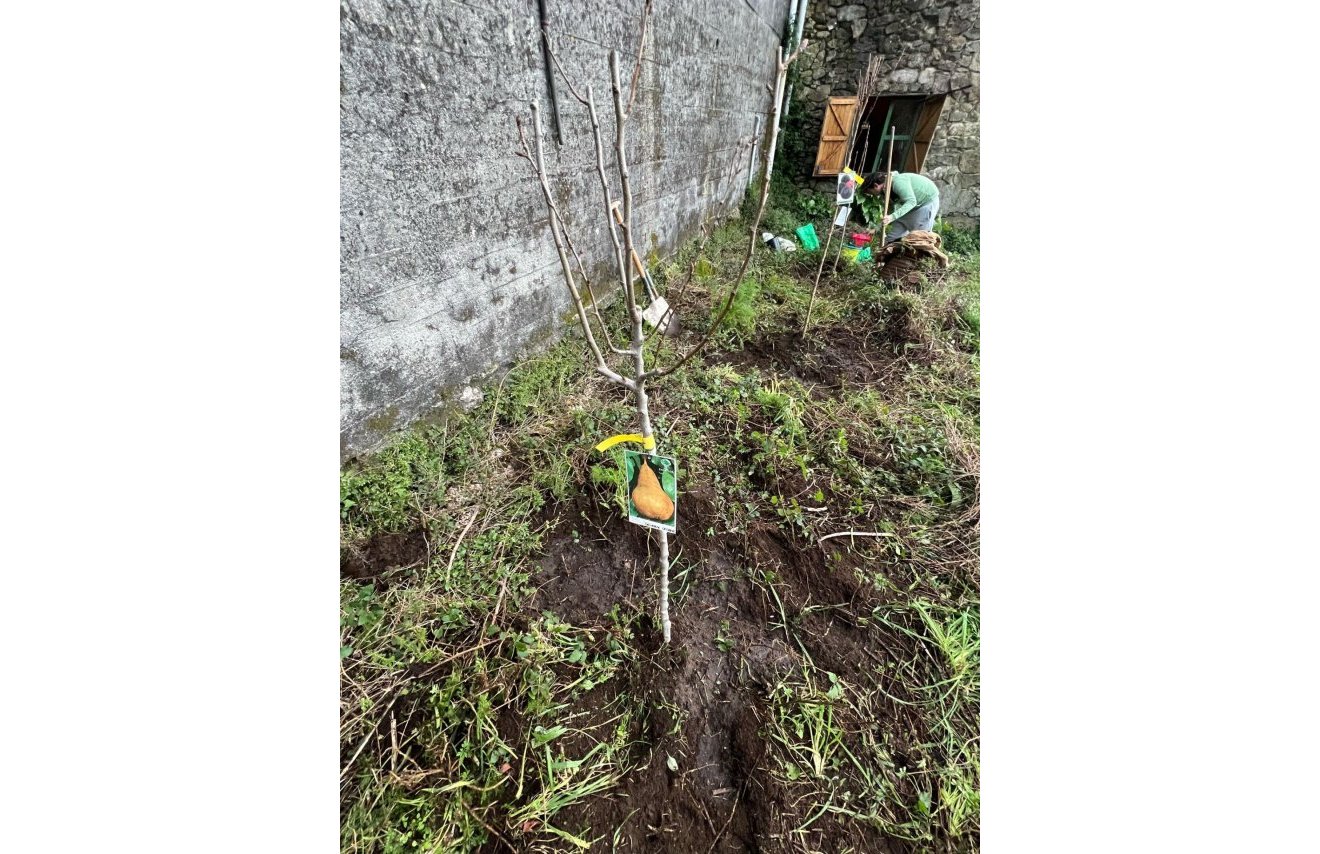 Reventa - Casa de campo - Rianxo - O arano