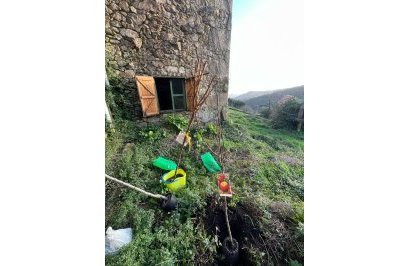 Reventa - Casa de campo - Rianxo - O arano