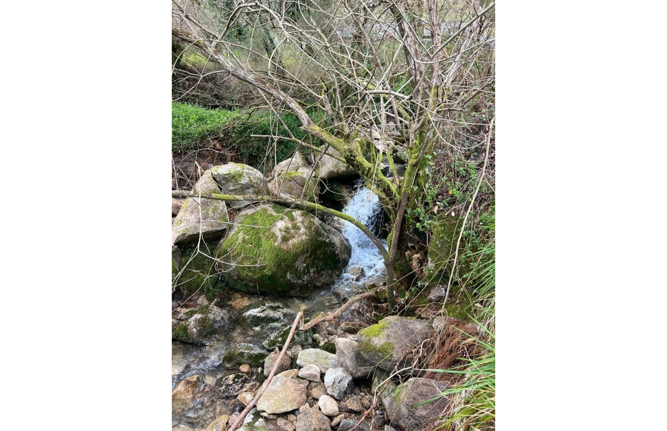 Reventa - Casa de campo - Rianxo - O arano