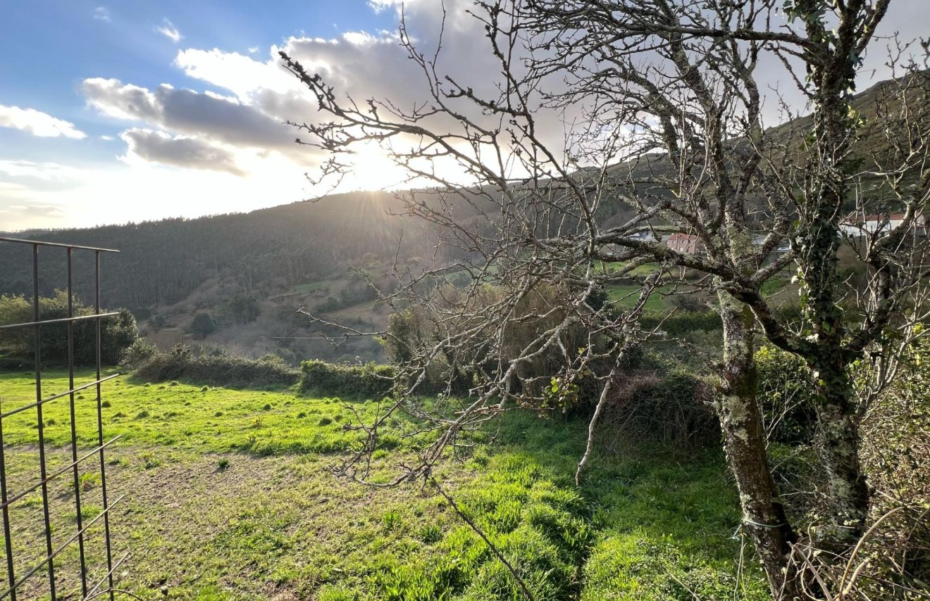 Reventa - Casa de campo - Rianxo - O arano