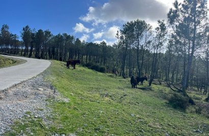 Reventa - Casa de campo - Rianxo - O arano