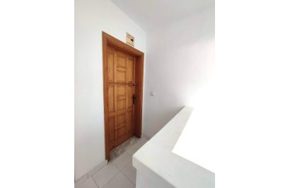Reventa - Apartamento - Torrevieja - Centro