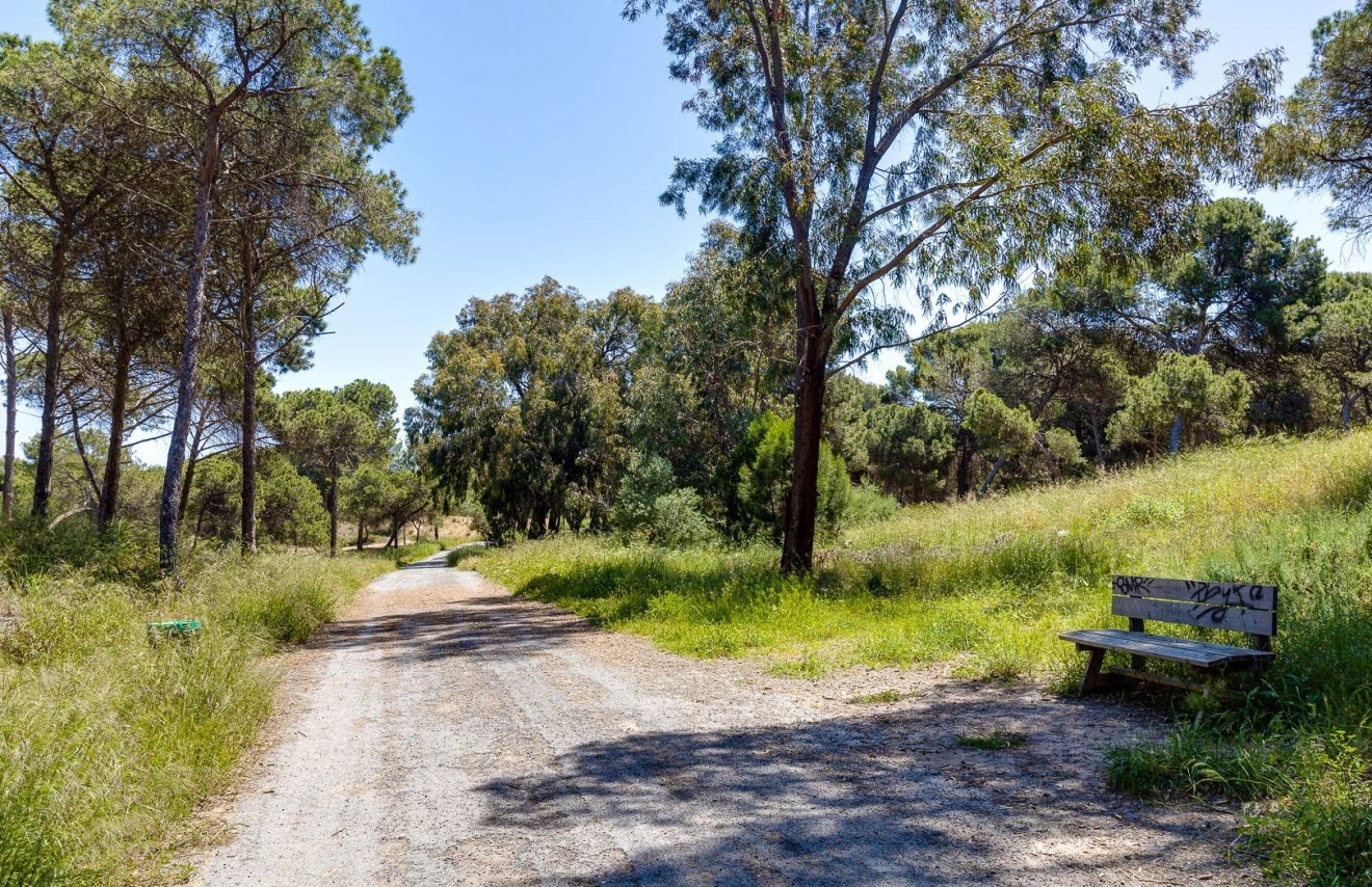 Reventa - Chalet - San Fulgencio - La Marina