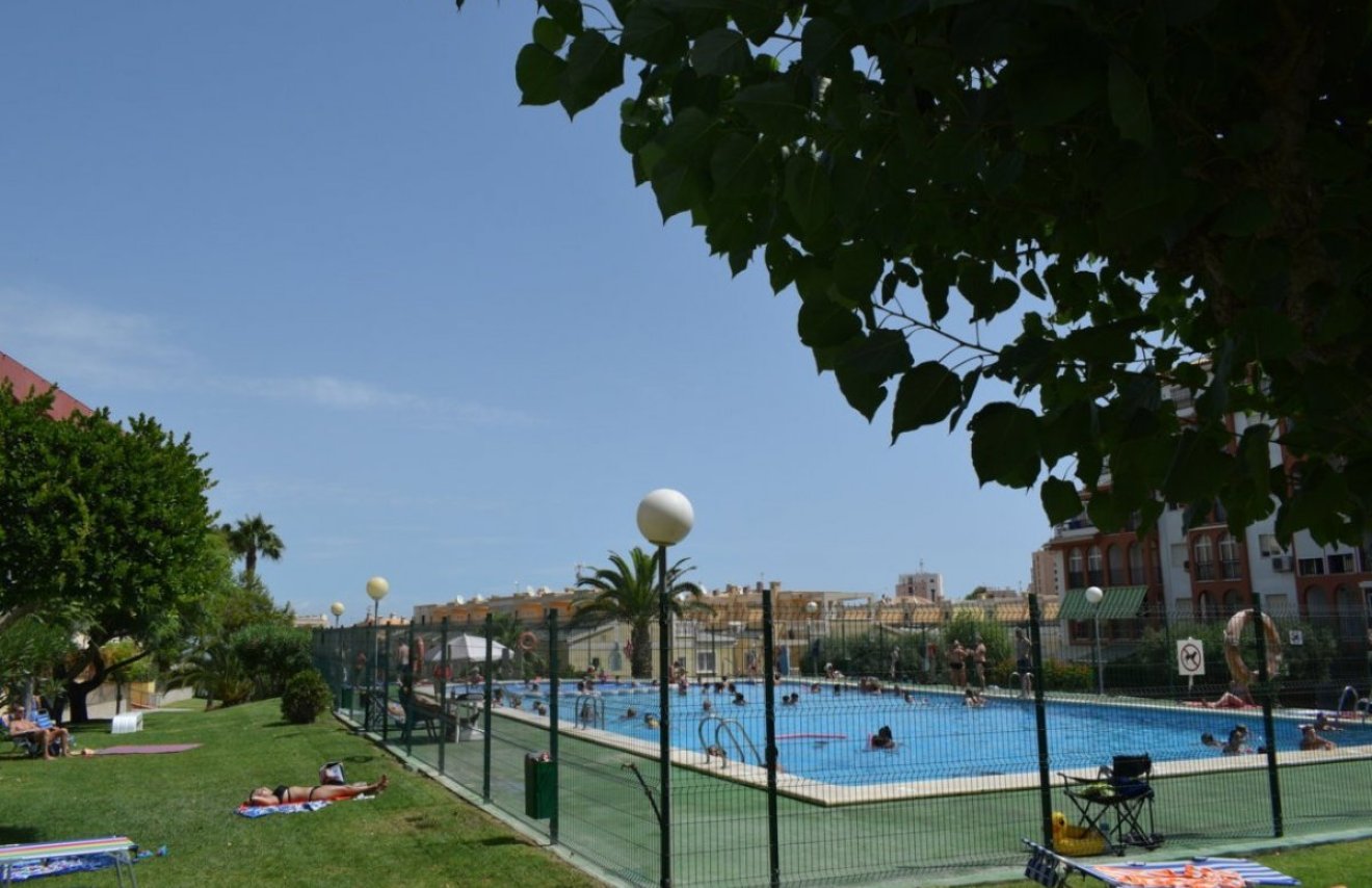 Reventa - Apartamento - Torrevieja - La Mata