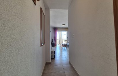 Reventa - Apartamento - Torrevieja - La Mata