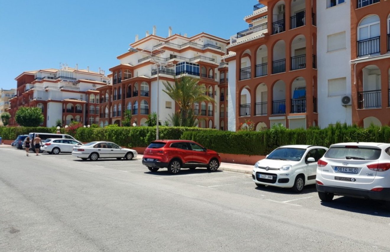 Reventa - Apartamento - Torrevieja - La Mata