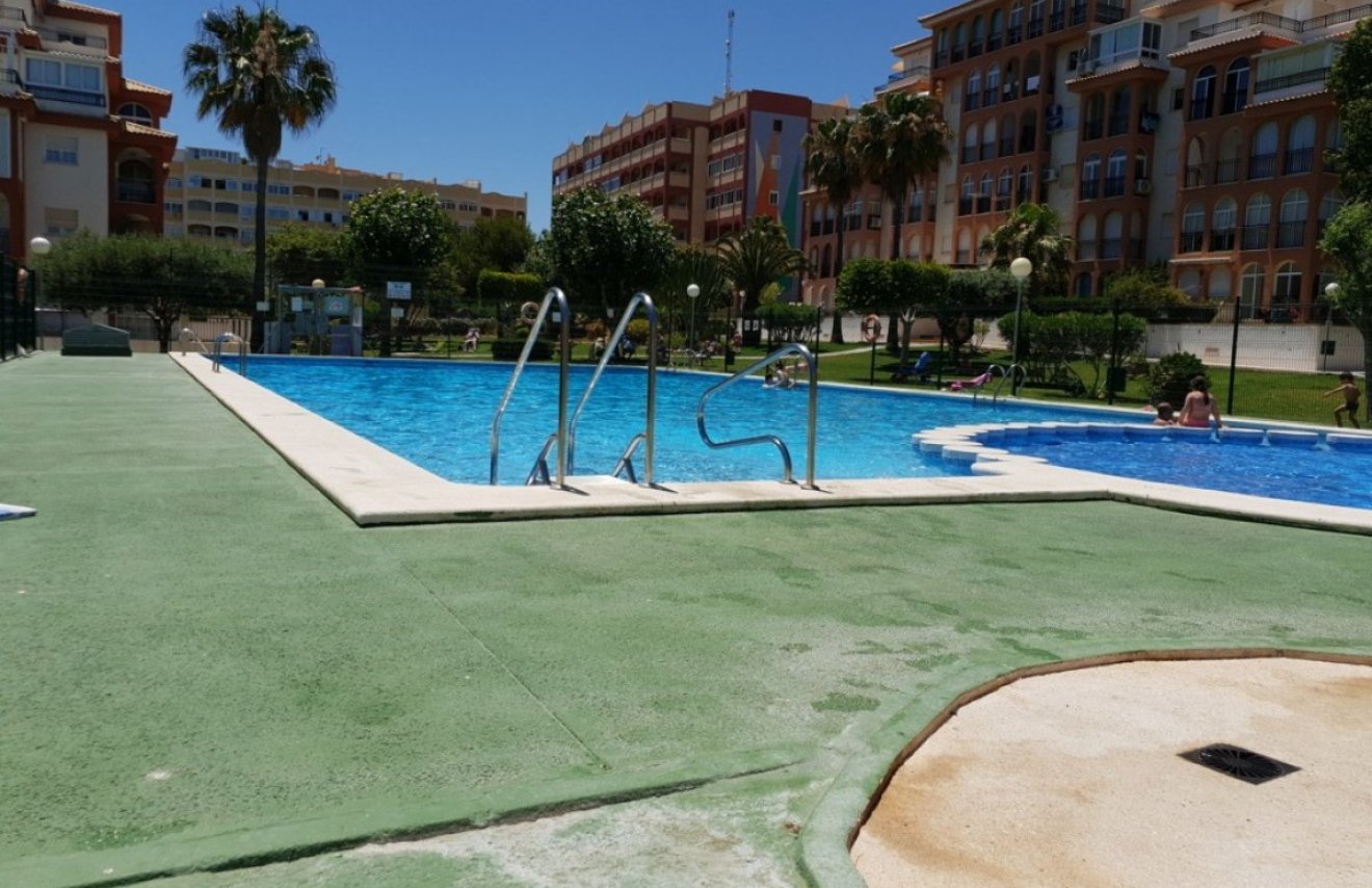 Reventa - Apartamento - Torrevieja - La Mata