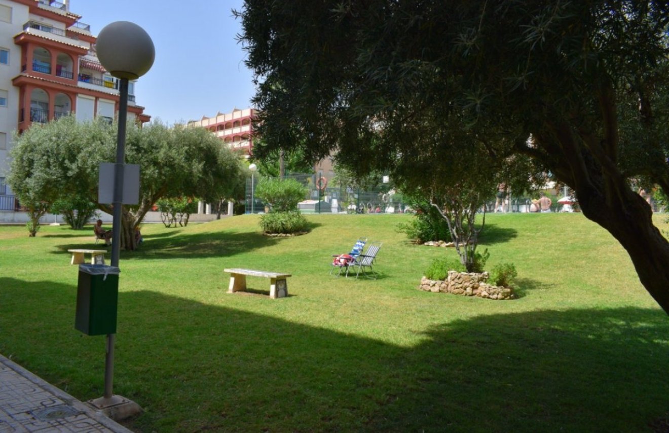 Reventa - Apartamento - Torrevieja - La Mata