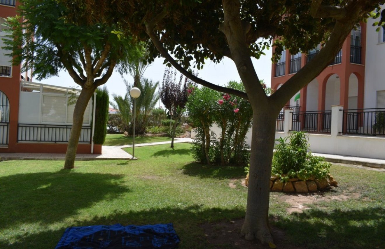 Reventa - Apartamento - Torrevieja - La Mata