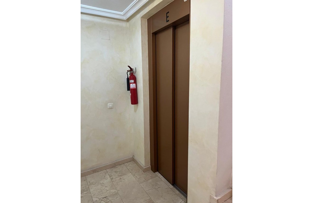 Reventa - Apartamento - Almoradí