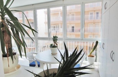 Reventa - Apartamento - Guardamar del Segura - Pueblo