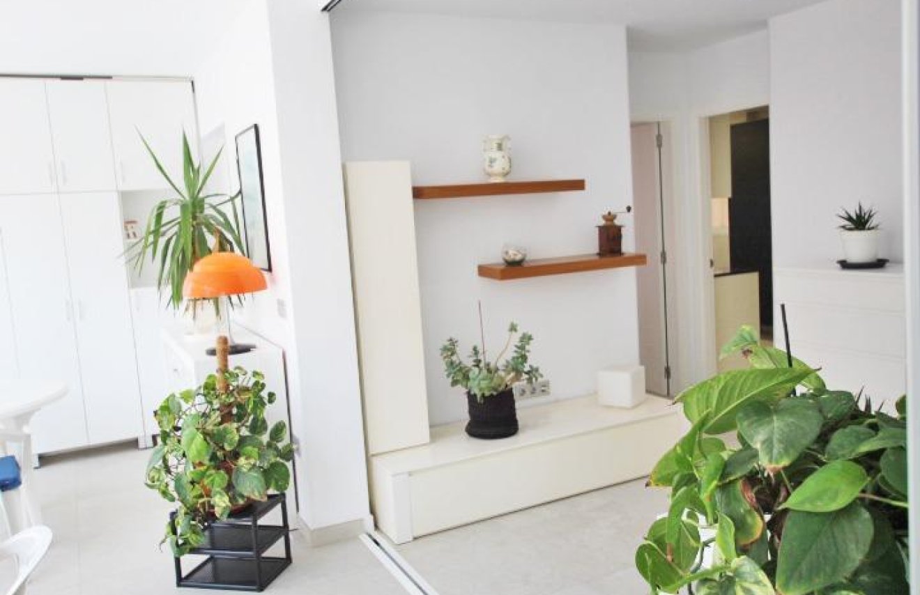 Reventa - Apartamento - Guardamar del Segura - Pueblo