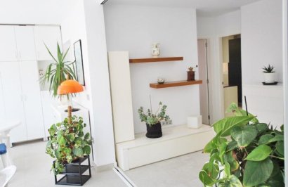 Reventa - Apartamento - Guardamar del Segura - Pueblo