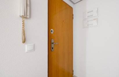 Reventa - Apartamento - Torrevieja - Estacion de autobuses