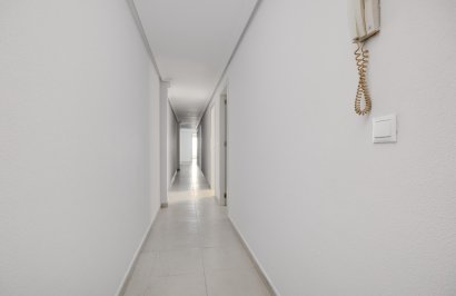 Reventa - Apartamento - Torrevieja - Estacion de autobuses