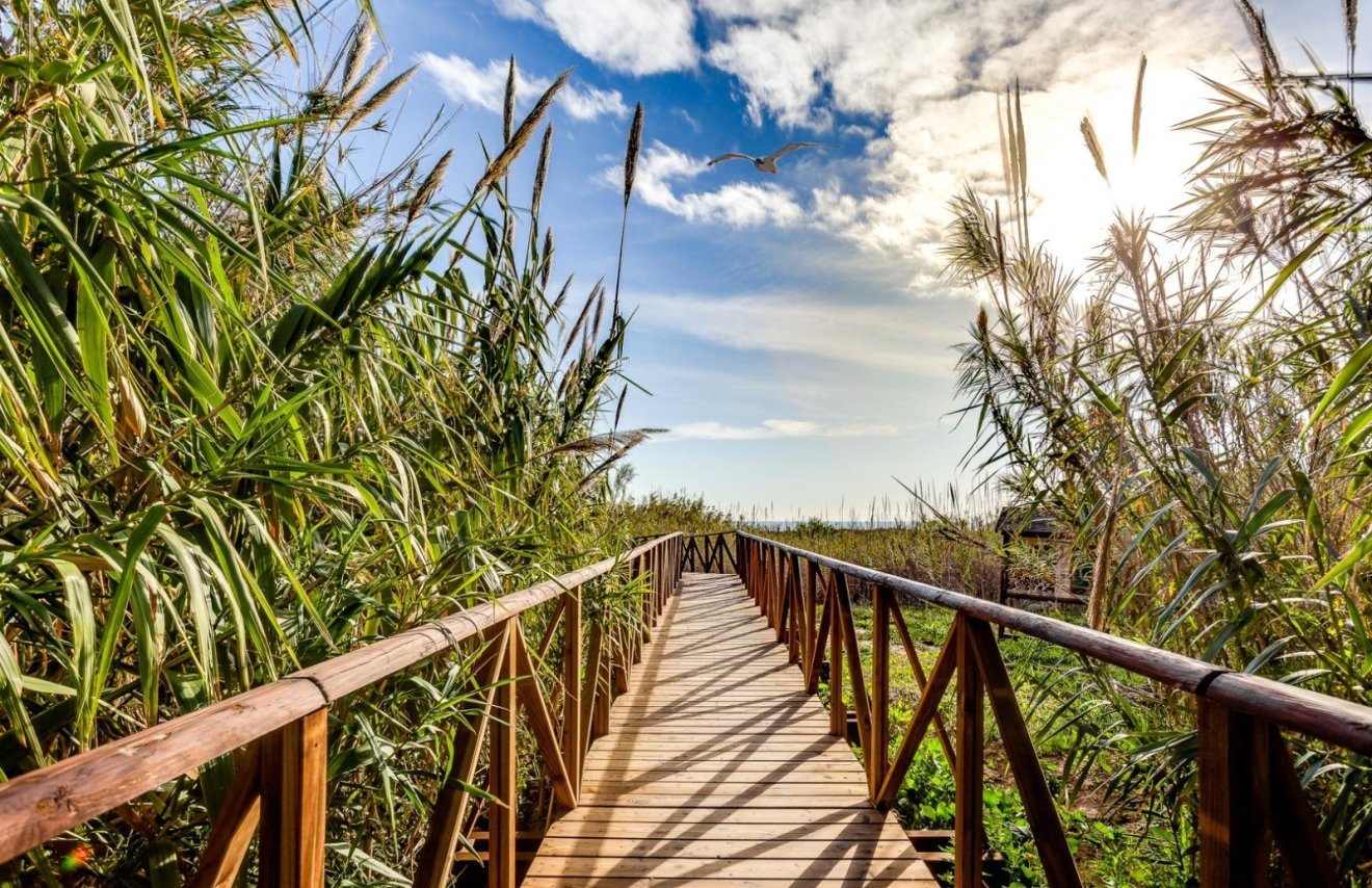 Reventa - Apartamento - Torrevieja - La Mata