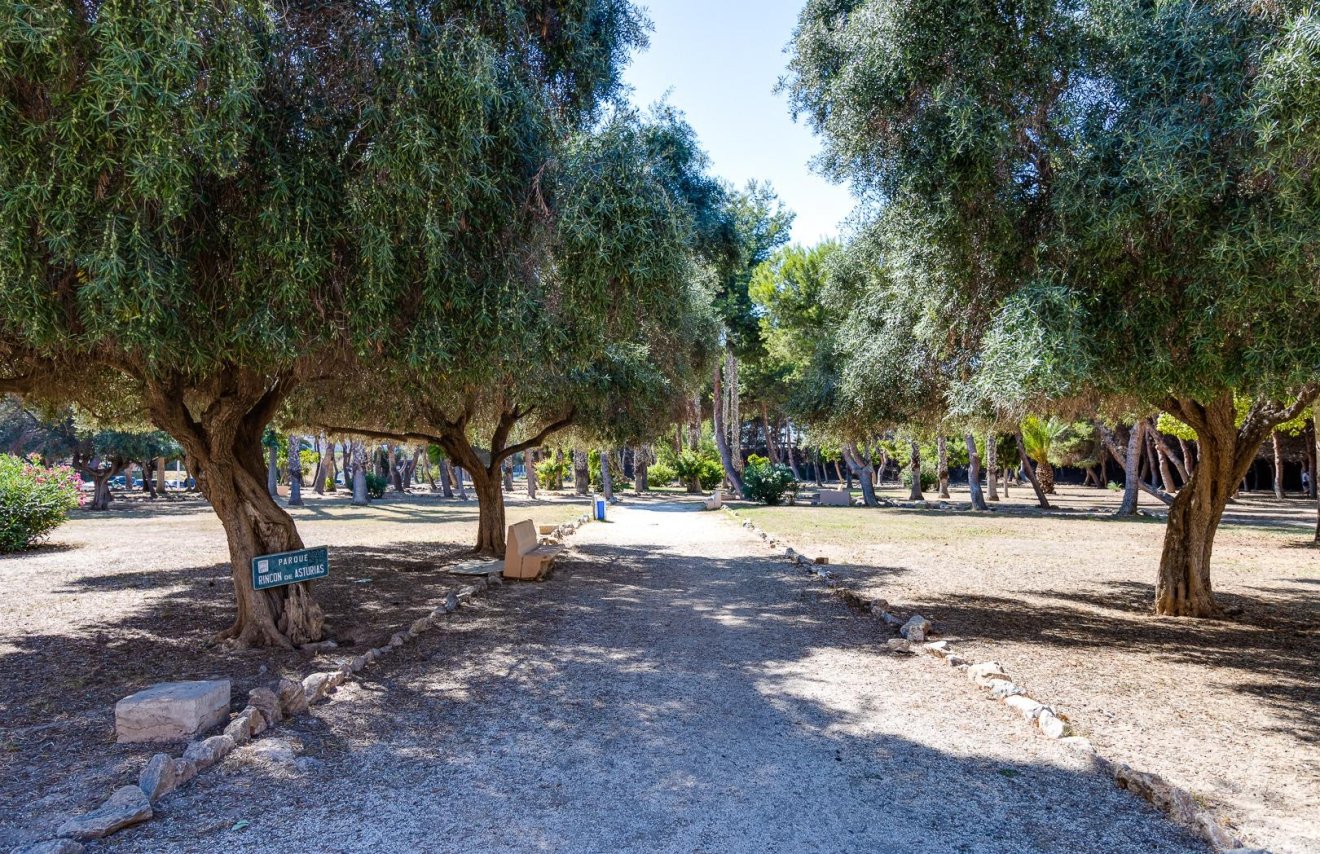 Reventa - Estudio - Torrevieja - Acequion