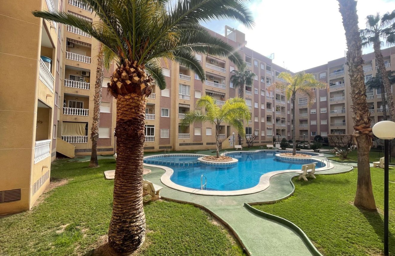 Reventa - Apartamento - Torrevieja - Centro