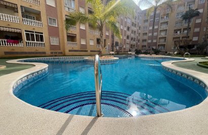 Reventa - Apartamento - Torrevieja - Centro