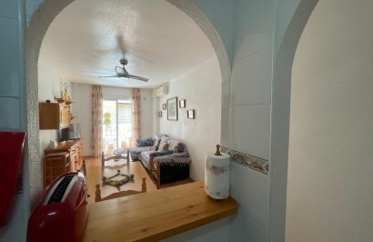 Reventa - Apartamento - Torrevieja - Estacion de autobuses