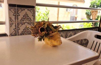 Reventa - Apartamento - Torrevieja - La Mata