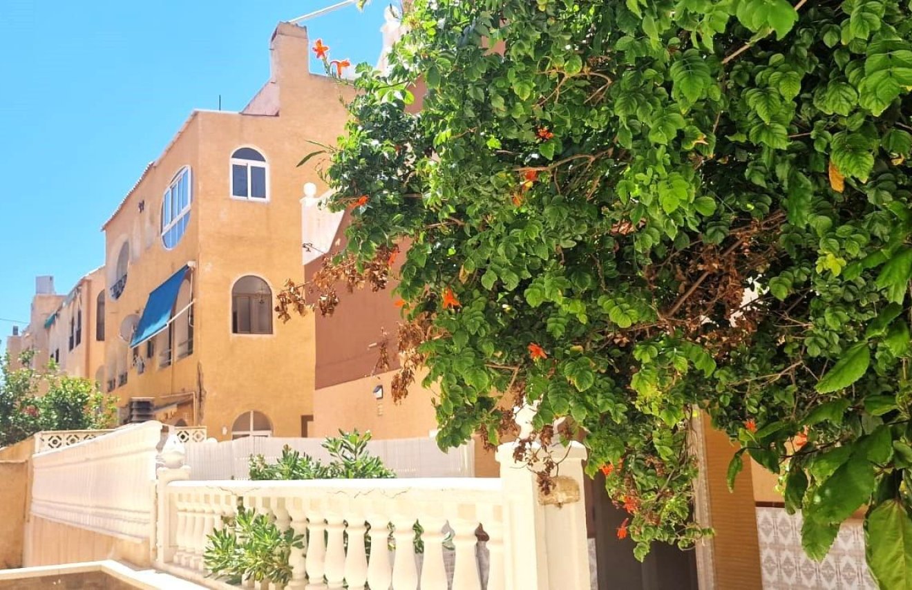 Reventa - Apartamento - Torrevieja - La Mata