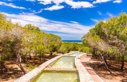 Reventa - Apartamento - Torrevieja - La Mata