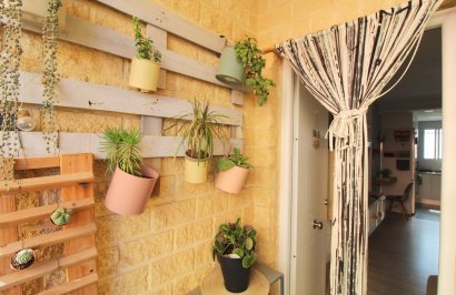 Reventa - Planta baja - Torrevieja - Aguas nuevas 1