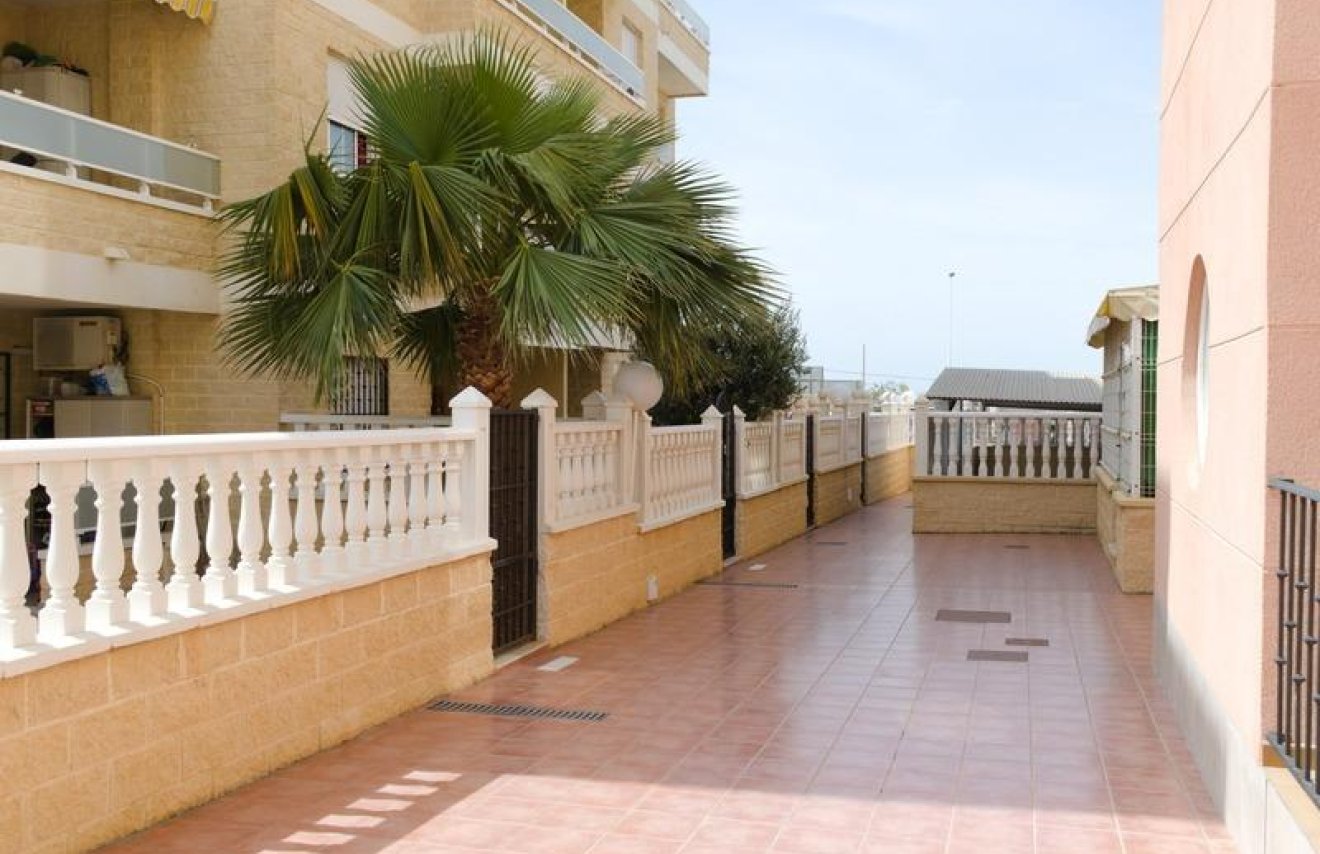 Reventa - Planta baja - Torrevieja - Aguas nuevas 1