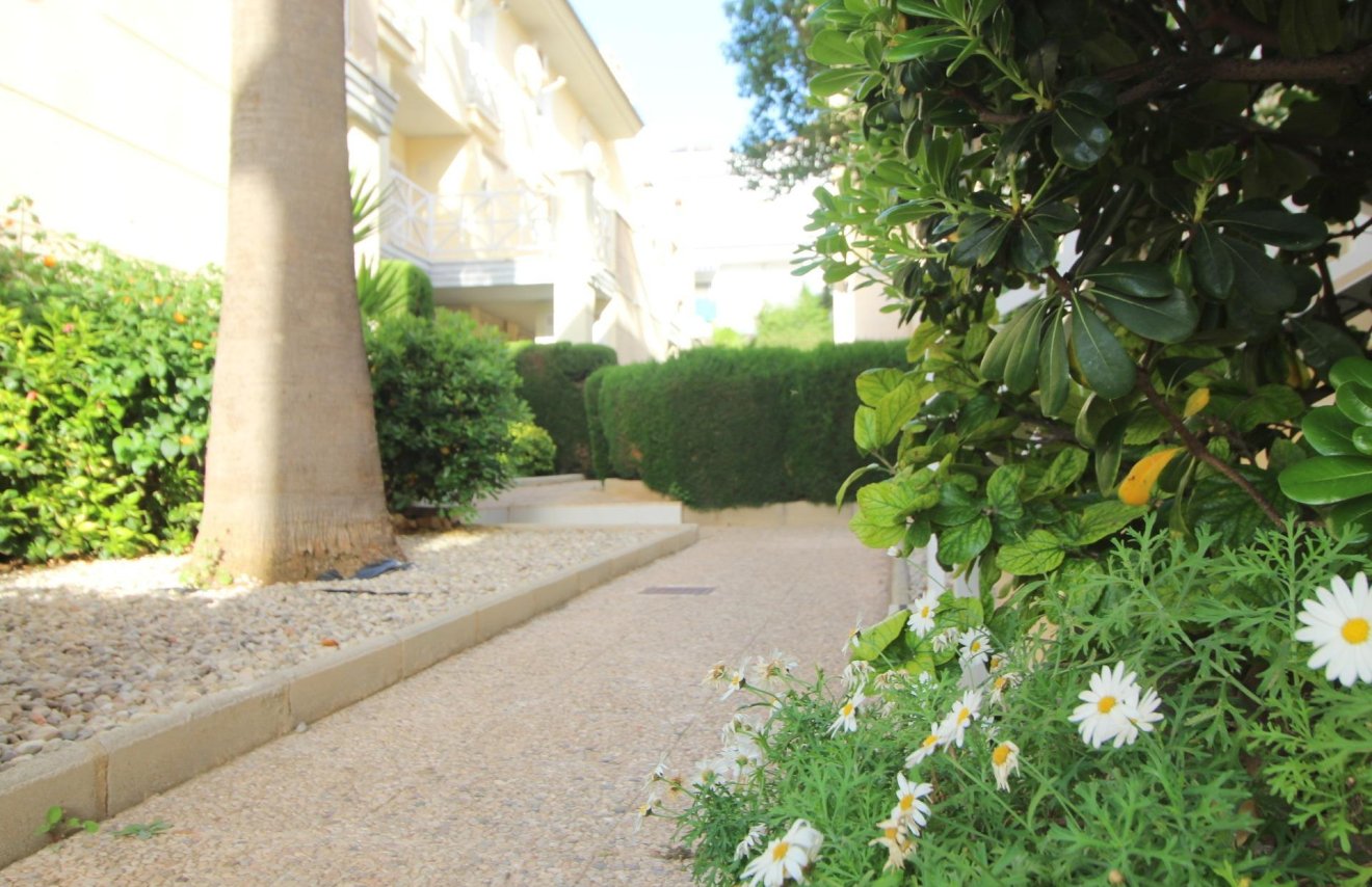 Reventa - Apartamento - Torrevieja - La veleta