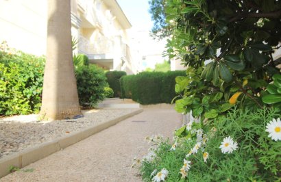 Reventa - Apartamento - Torrevieja - La veleta