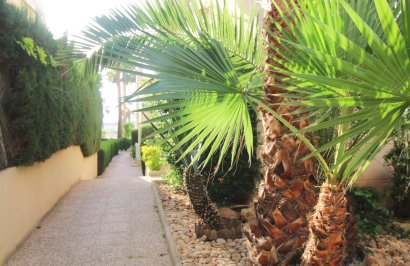 Reventa - Apartamento - Torrevieja - La veleta