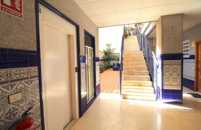 Reventa - Apartamento - Torrevieja - Habaneras