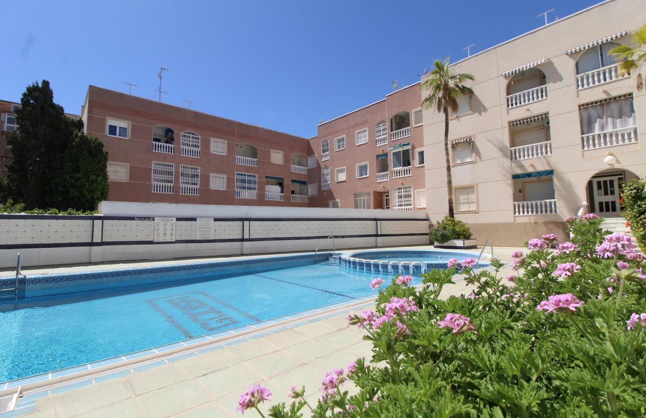 Reventa - Apartamento - Torrevieja - Curva del Palangre