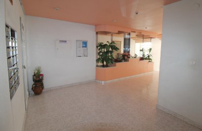 Reventa - Apartamento - Torrevieja - Curva del Palangre