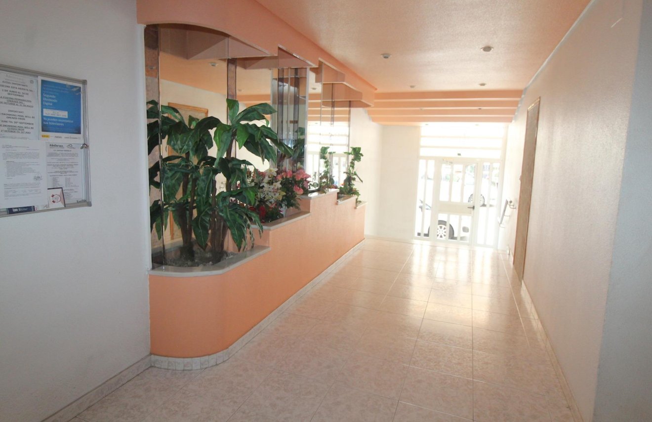 Reventa - Apartamento - Torrevieja - Curva del Palangre