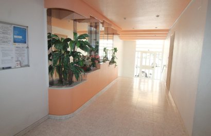 Reventa - Apartamento - Torrevieja - Curva del Palangre