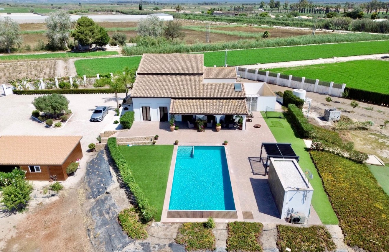 Reventa - Villa de Lujo - Dolores - Comunidad valenciana