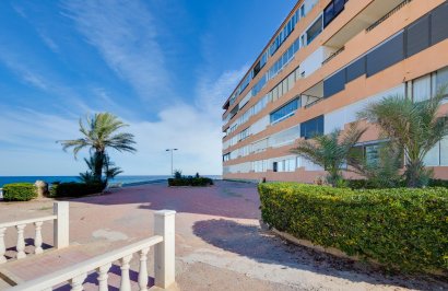 Reventa - Apartamento - Torrevieja - Cabo cervera